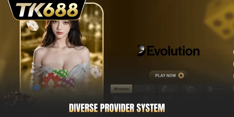 Diverse provider system