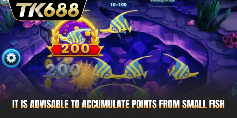 It is advisable to accumulate points from small fish